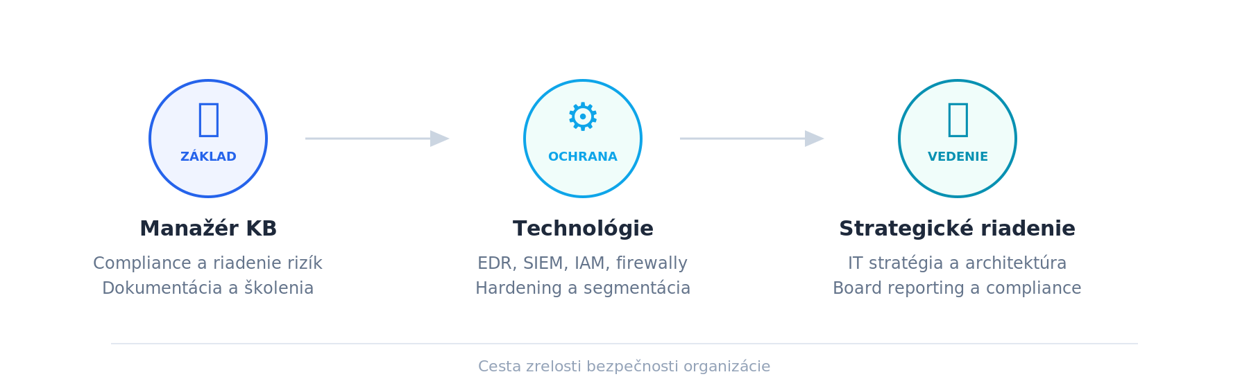 Cesta zrelosti bezpečnosti organizácie